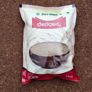 BARNYARD MILLET | Jhangora | Sanwa